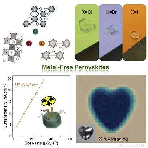 Innovative Bio‑Compatible X‑Ray Detectors Developed Using Metal‑Free Perovskite Single Crystals