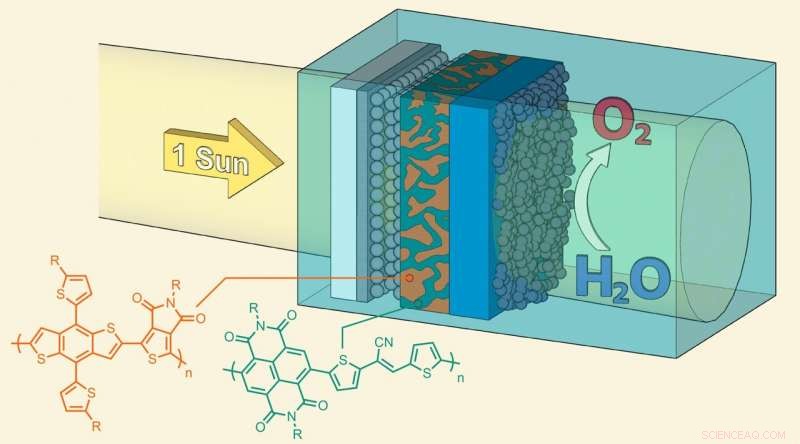 Semiconductor Polymer-Based Artificial Leaf Generates Oxygen from Sunlight