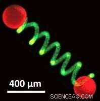Protocells Activate: Novel Micro‑Actuator Technology