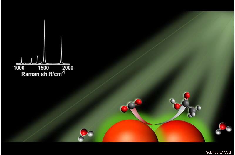 Silver Nanoparticles Convert CO₂ to Renewable Fuels Using Visible Light