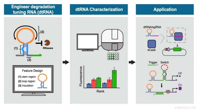 How Small-Scale Engineering is Revolutionizing Medical Care