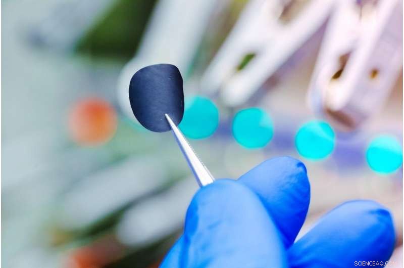 Combating the Sulfur Shuttle: Enhancing Lithium‑Sulfur Battery Performance