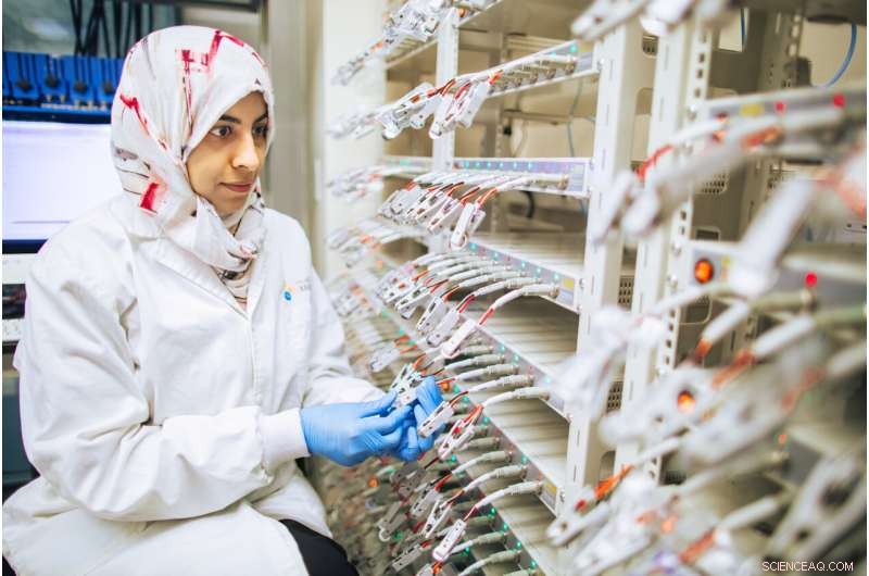 Combating the Sulfur Shuttle: Enhancing Lithium‑Sulfur Battery Performance