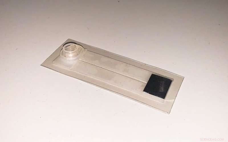 NTU Singapore Introduces Rapid 30‑Minute Malaria Test Kit for Developing Nations