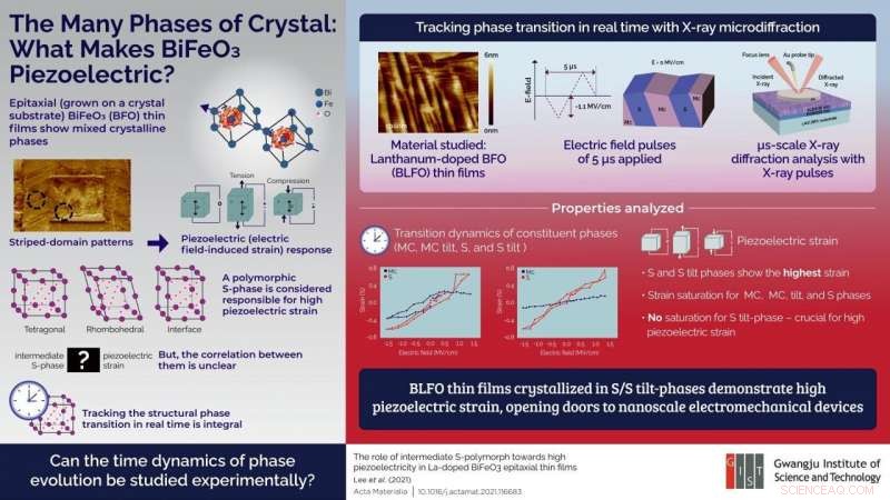 Unlocking Piezoelectric Performance: Insights from Phase Transitions in BLFO Thin Films