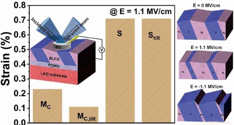 Unlocking Piezoelectric Performance: Insights from Phase Transitions in BLFO Thin Films