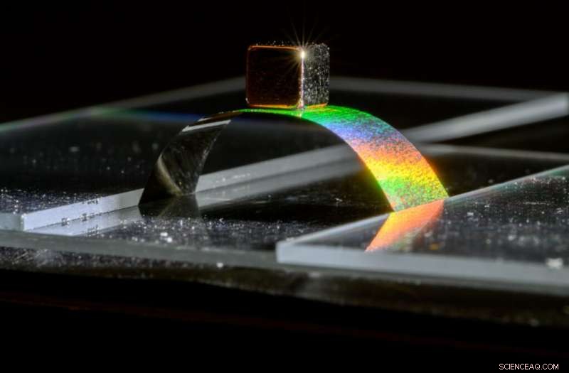 Metallic Wood Breaks Records: Supporting 50x Its Own Weight