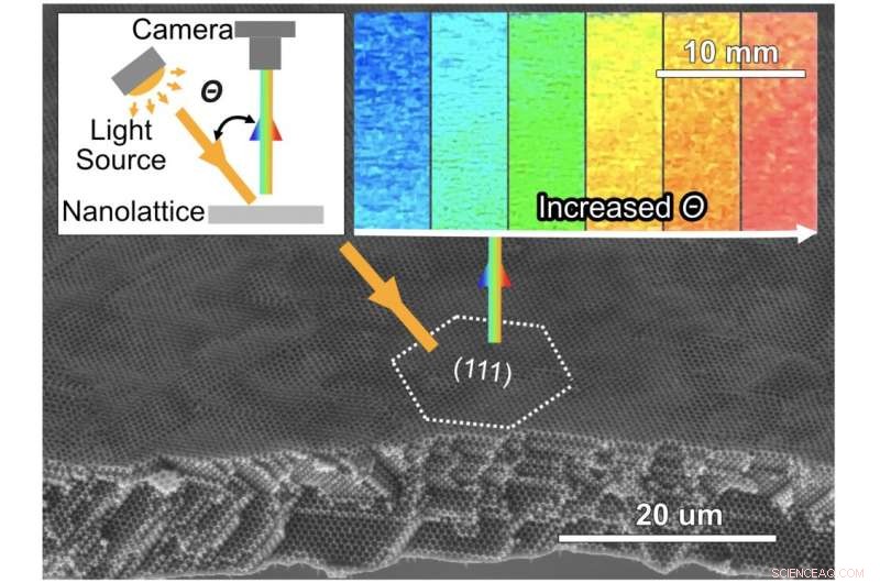 Metallic Wood Breaks Records: Supporting 50x Its Own Weight