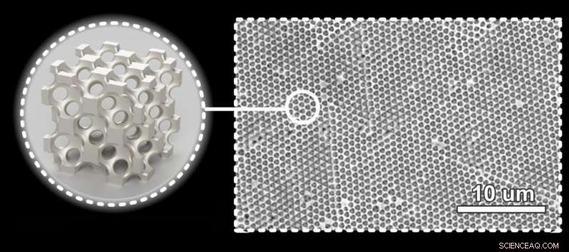 Metallic Wood Breaks Records: Supporting 50x Its Own Weight