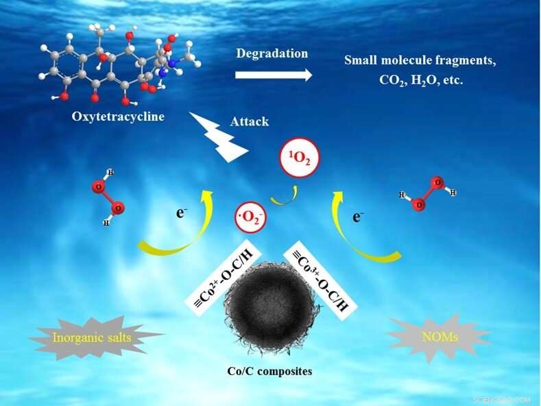 Efficient, Selective Oxytetracycline Degradation Using Singlet Oxygen in a Fenton-like System