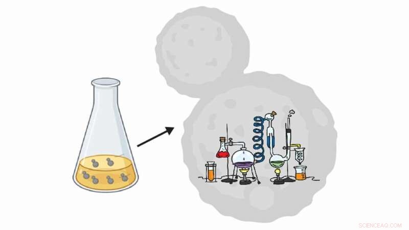 Engineered Yeast Cells as Precision Labs for Gene Regulation Research