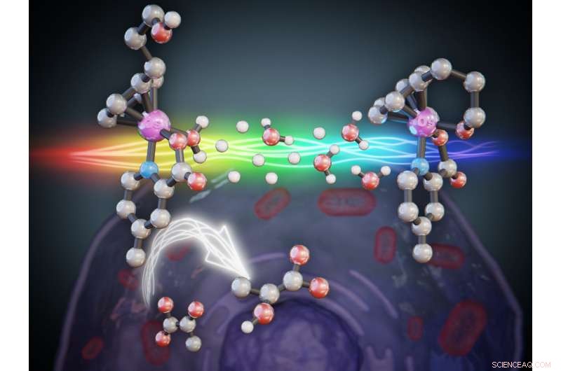 Harnessing Osmium Activation for Targeted Cancer Therapy