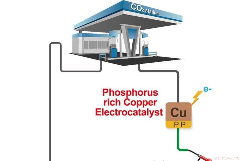 Efficient CO₂-to-Butanol Conversion via Phosphorus-Rich Copper Cathodes