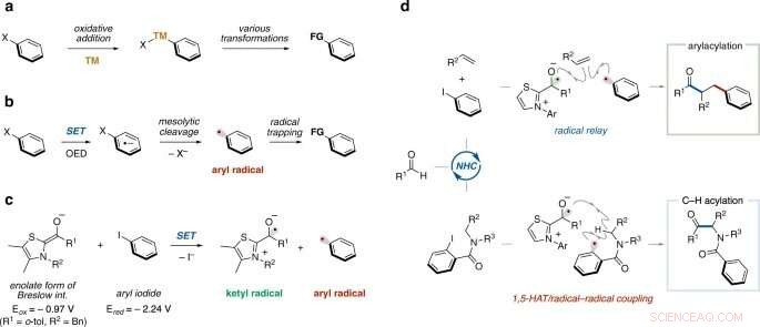 Aryl Radical Formation via N‑Heterocyclic Carbene‑Catalyzed Cleavage of Aryl Halides