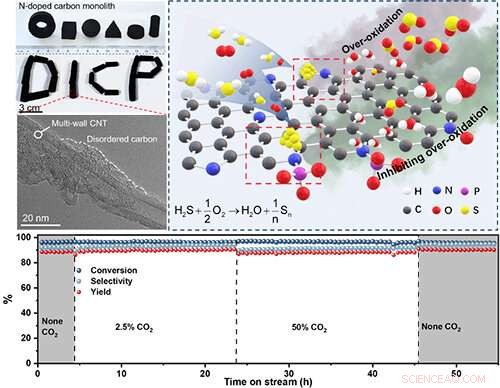 Monolithic Nanocarbon Catalysts Achieve Superior Selective Oxidation of Dihydrogen Sulfide