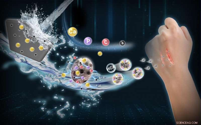 Nano-Scale Borate Bioactive Glass: A Revolutionary Material for Accelerated Skin Healing