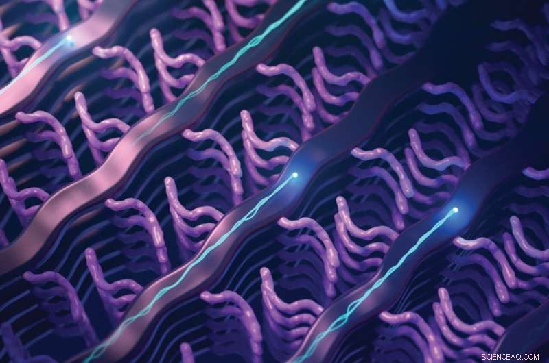 Advanced Polymer for Next-Gen Biosensors