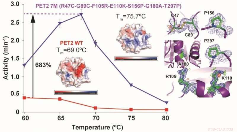 Nature-Inspired Engineered Protein Shows Promise in Tackling Plastic Pollution