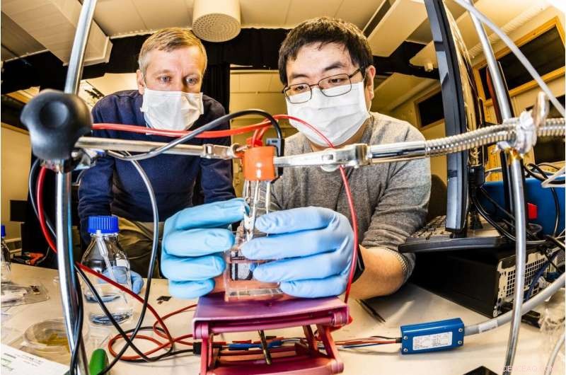 Revolutionizing Color Displays: New Method by Linköping University