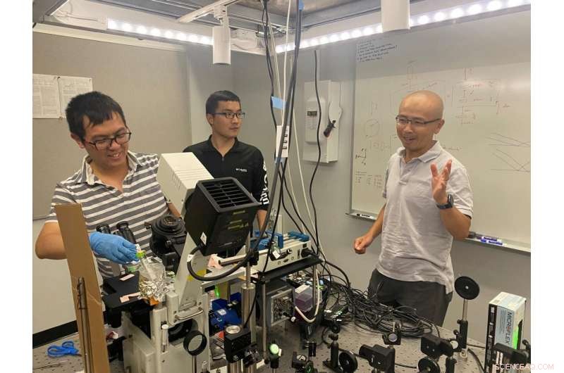 New Chemistry Breakthrough Promises to Eliminate Micropollutants from the Environment