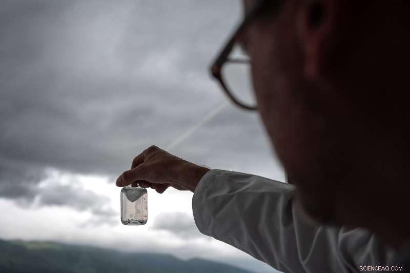 AI Enhances Veggie Burgers, Fueling Rapid Market Growth