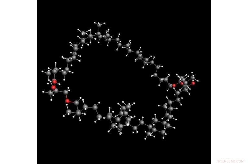 Unveiling the Structure of Crenarchaeol: A Landmark Lipid Synthesis Study