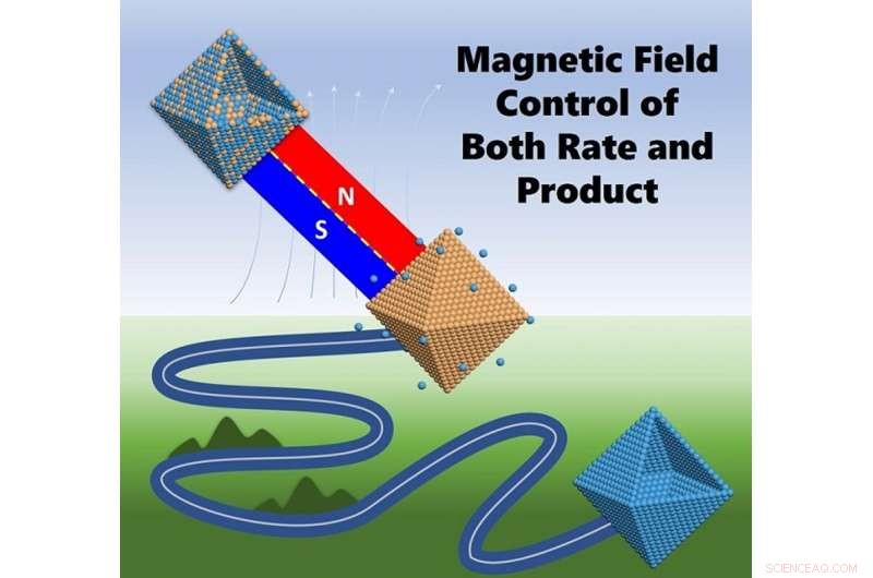 High Magnetic Fields Regulate Chemical Reaction Rates and Outcomes
