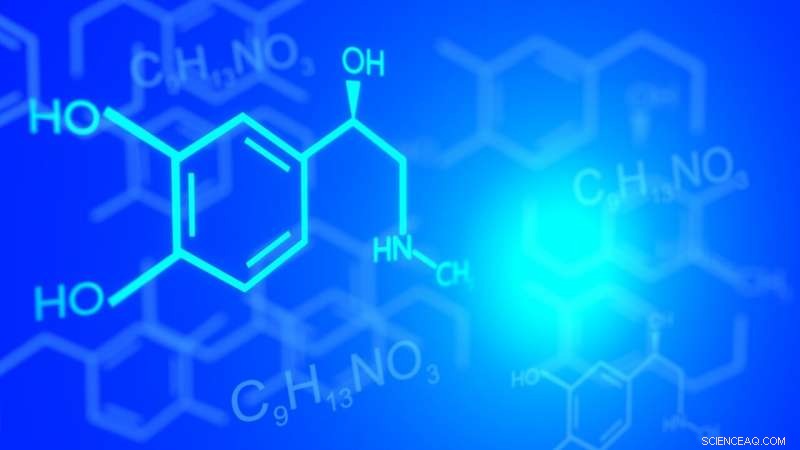 Efficient C–H Bond Activation for Constructing Complex Organic Molecules