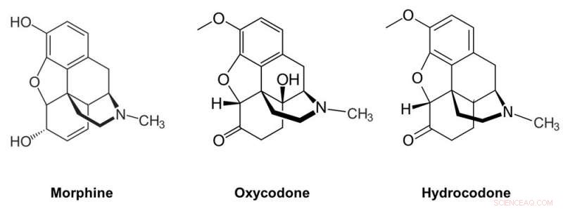 Chemically Designed Opioids: Reducing Addiction While Preserving Pain Relief