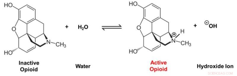 Chemically Designed Opioids: Reducing Addiction While Preserving Pain Relief