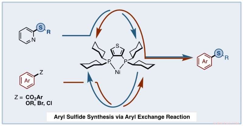 Efficient Aryl Sulfide Synthesis from Odorless, Non-Toxic Precursors via Ni-Catalyzed Exchange