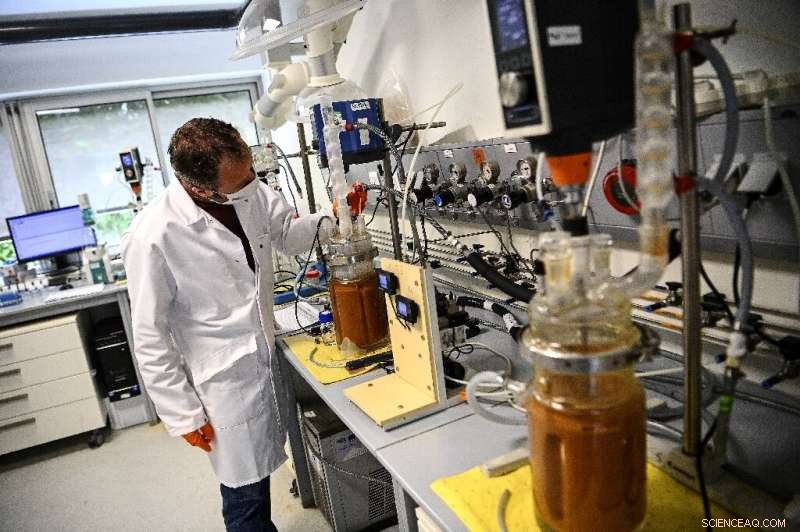 Bacteria Drive France’s Rare Earth Self‑Reliance Initiative