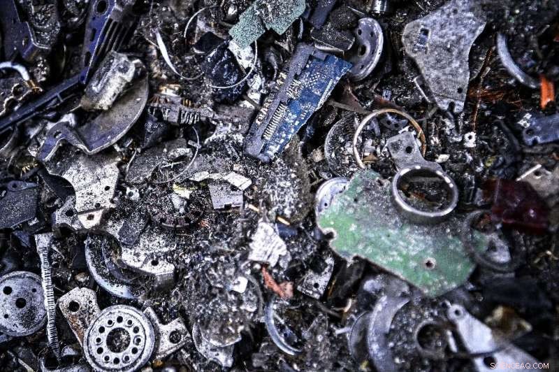 Bacteria Drive France’s Rare Earth Self‑Reliance Initiative