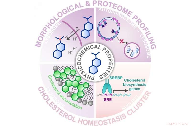 Known Drugs Unveil Unexpected Effects on Cholesterol Homeostasis