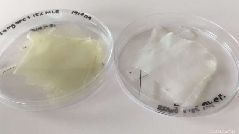 Innovative Bioplastic from Nanocellulose and Mango Enhances Food Preservation