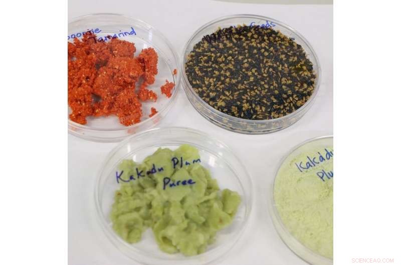Field-Ready Chemistry Kit Enables Indigenous Communities to Test Bush Food Sweetness On-Site