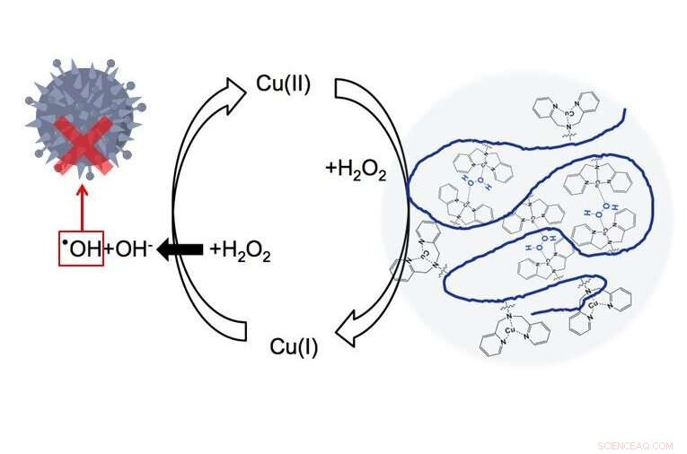 Innovative Copper-Based Drug Design: Clustering Metal Atoms to Outmaneuver Bacterial Resistance