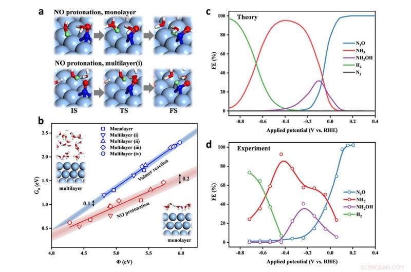 New Study Uncovers Critical Variables in Nitric Oxide Electroreduction to Ammonia