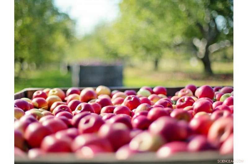 Eco-Friendly Extraction of Health-Promoting Molecules from Agricultural and Food Waste