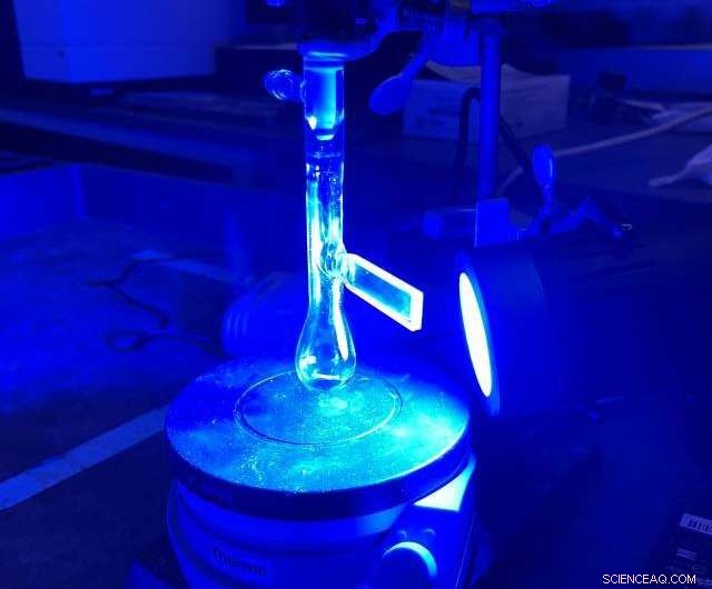 Chemists Unveil Catalyst That Could Revolutionize Sustainable Food Production