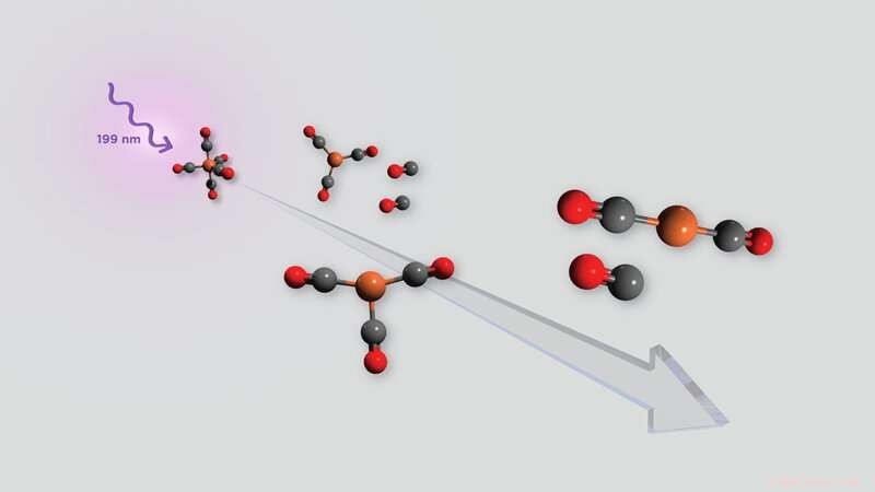 Real‑Time Observation of Light‑Induced Degradation in a Model Photocatalyst