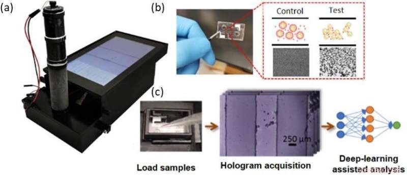 Revolutionizing Point-of-Care Diagnostics: Deep Learning-Enhanced Holographic Sensors