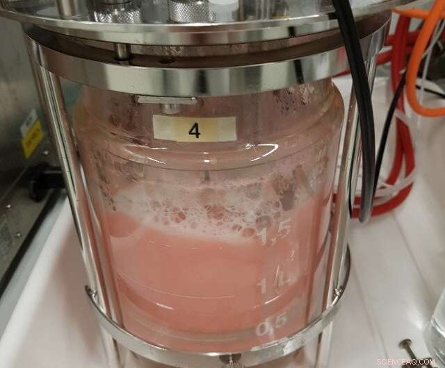 Leveraging CO₂ as a Raw Material for Plastics and Sustainable Products