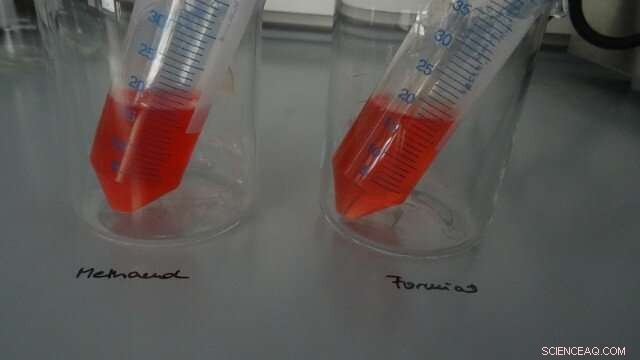 Leveraging CO₂ as a Raw Material for Plastics and Sustainable Products