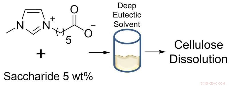 Revolutionary Solvents Unlock Efficient Cellulose Conversion to Bioethanol