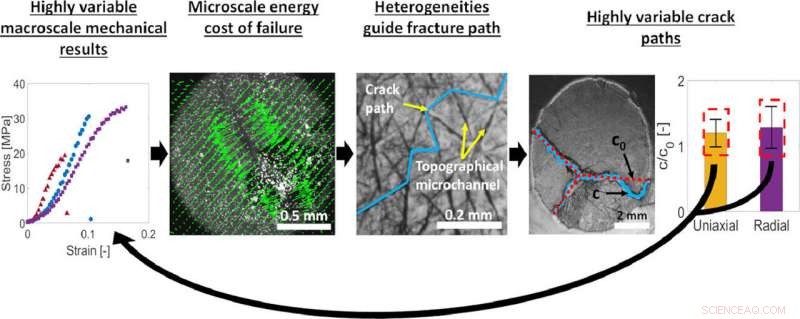 Securely Attach Sensors to Skin Without Adhesives: A Practical Guide