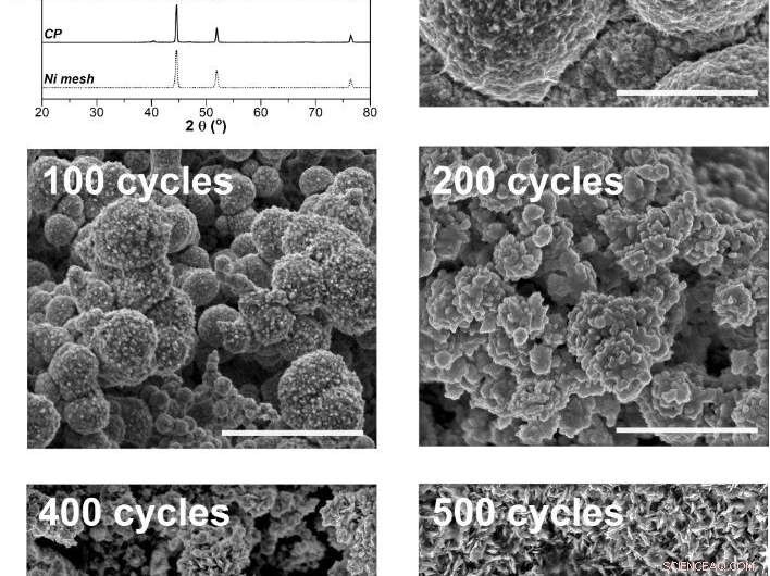 Revolutionary Method Converts Liquid Ammonia into Green Hydrogen Efficiently