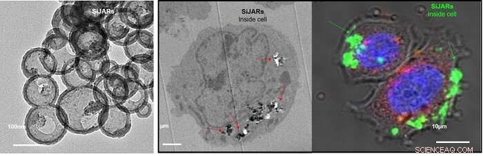 Silica Nanostructure Enables Chemo‑Enzymatic Compartmentalization for Advanced Bioengineering