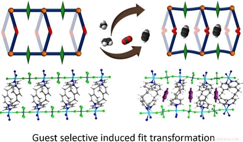 Enhanced Acetylene Capture with Induced-Fit Adsorbent Technology