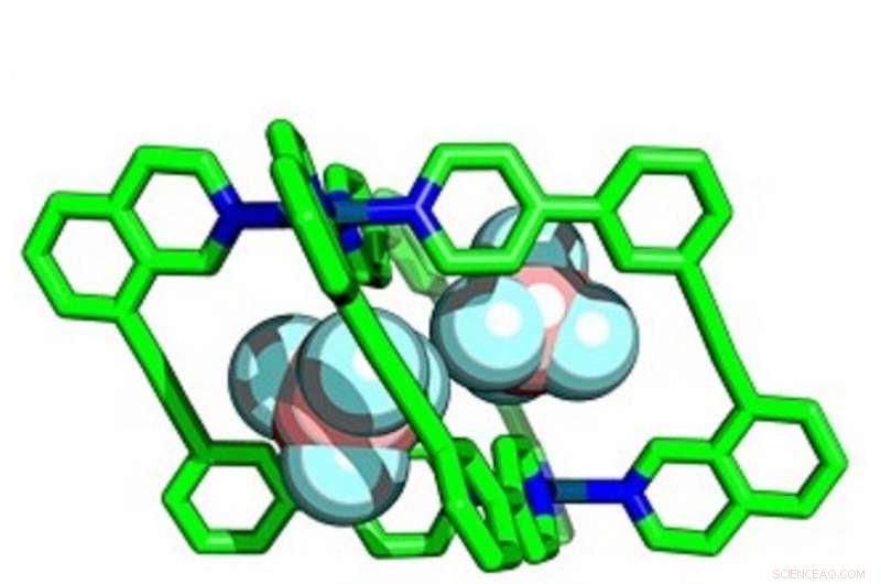 Rapid Synthesis of Molecular Cages Promises Accelerated Materials Discovery